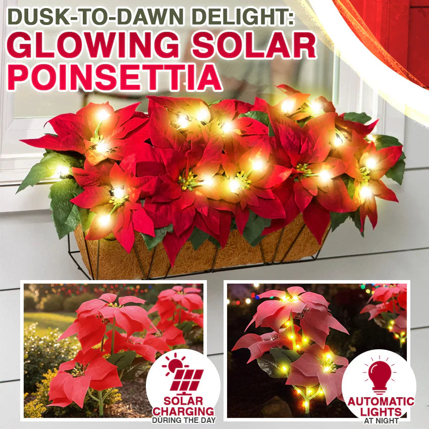 Artificial Christmas Poinsettia Flower Solar Light - (Waterproof, Garden, Xmas Party Decoration)