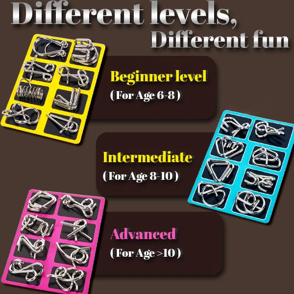 3D Metal Challenge Puzzle Toy