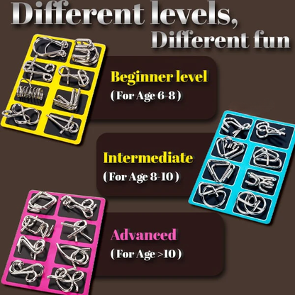 3D Metal Challenge Puzzle Toy