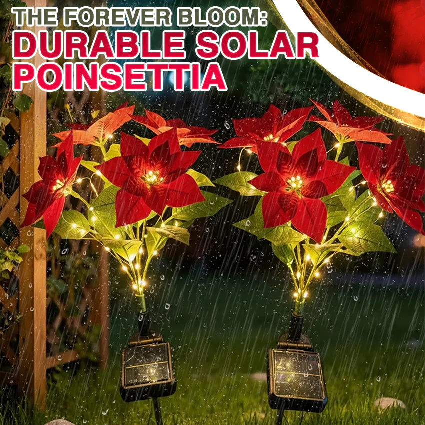 Artificial Christmas Poinsettia Flower Solar Light - (Waterproof, Garden, Xmas Party Decoration)