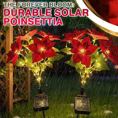 Artificial Christmas Poinsettia Flower Solar Light - (Waterproof, Garden, Xmas Party Decoration)