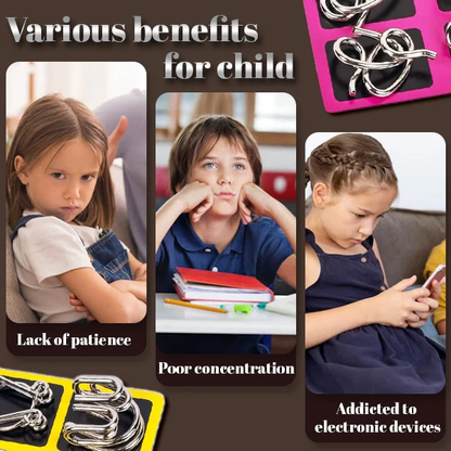 3D Metal Challenge Puzzle Toy