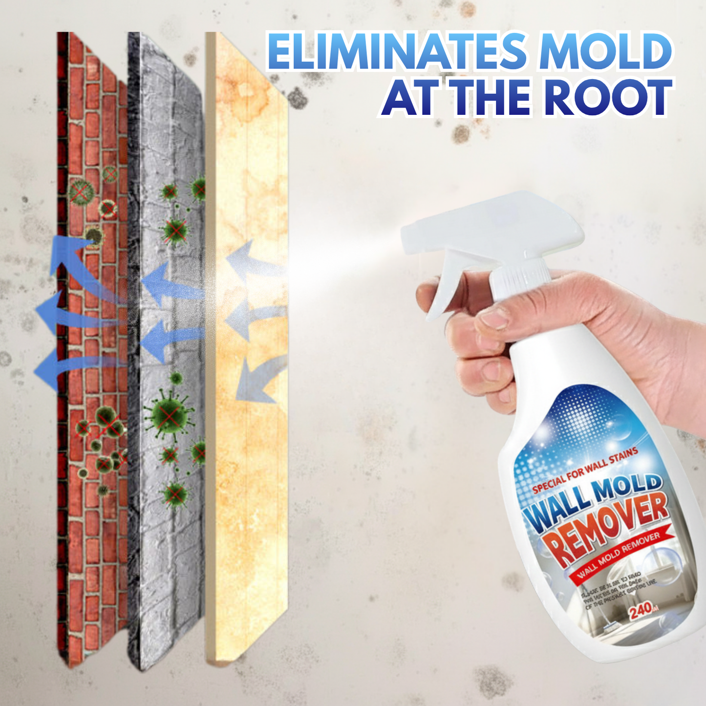 Rapid Mold-Removing Spray