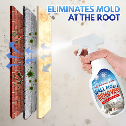 Rapid Mold-Removing Spray