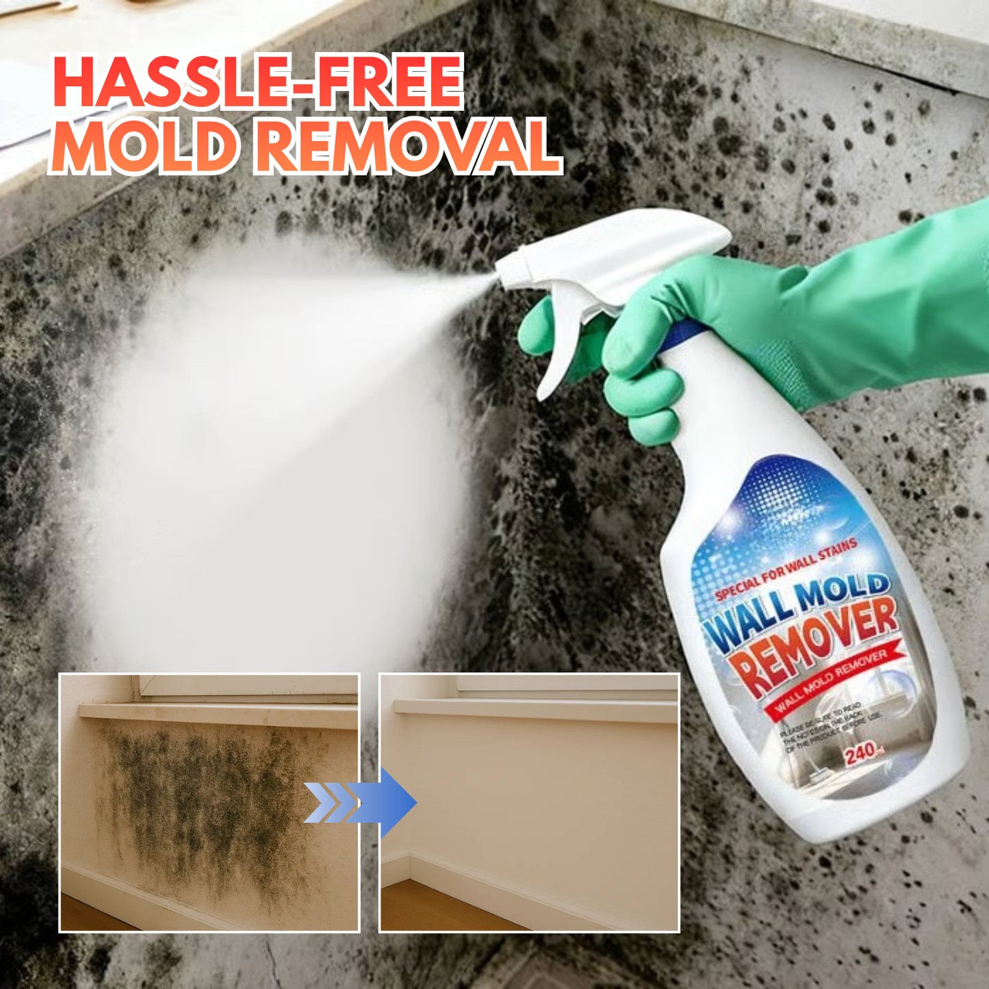 Rapid Mold-Removing Spray