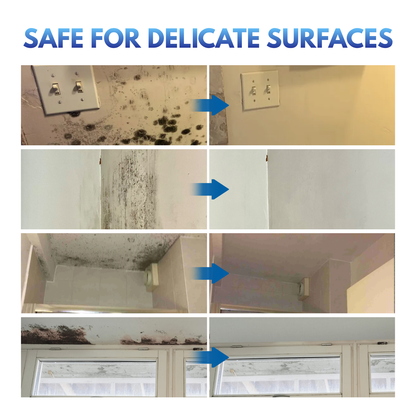 Rapid Mold-Removing Spray
