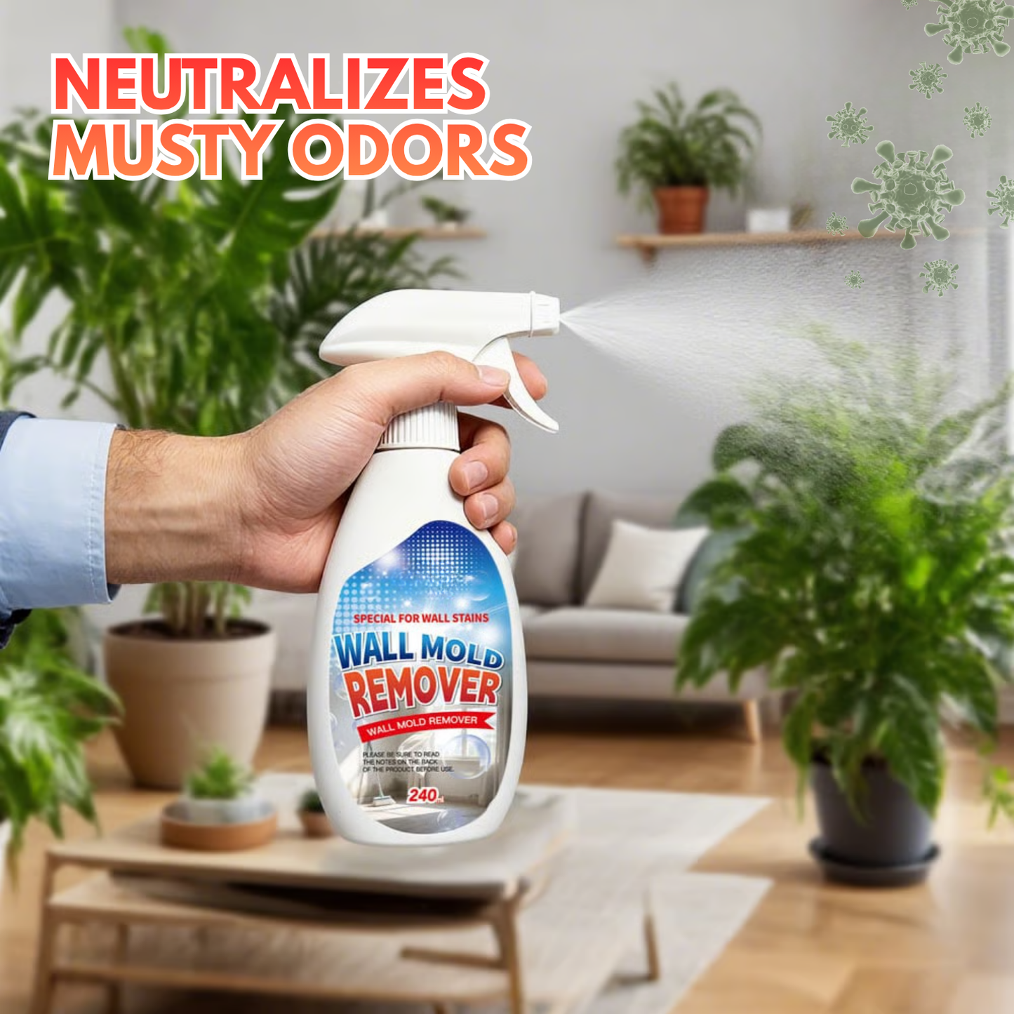 Rapid Mold-Removing Spray