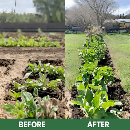 Plant Resurrection Liquid